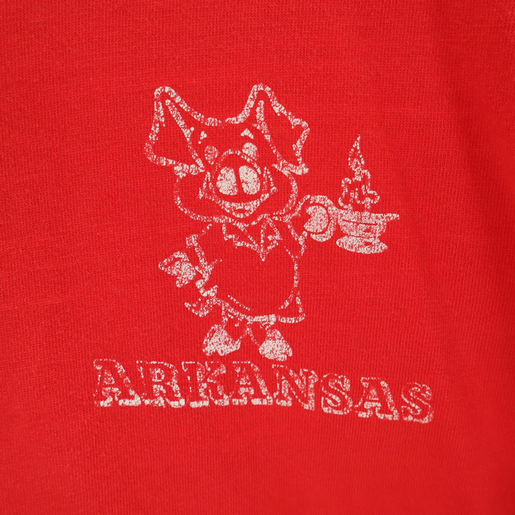 ARTEX 80s Made In USA Vintage Short Sleeve V Neck T-shirt L Single Stitch Men's Used