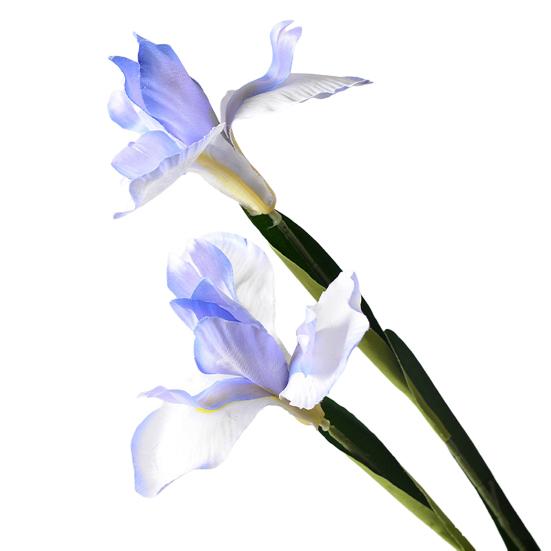 Artificial Iris Flower 2 Heads Faux Silk Flower Bouquet Long Stem Fake Iris Flowers for Floral Arrangements Table Centerpiece Party Wedding Decor