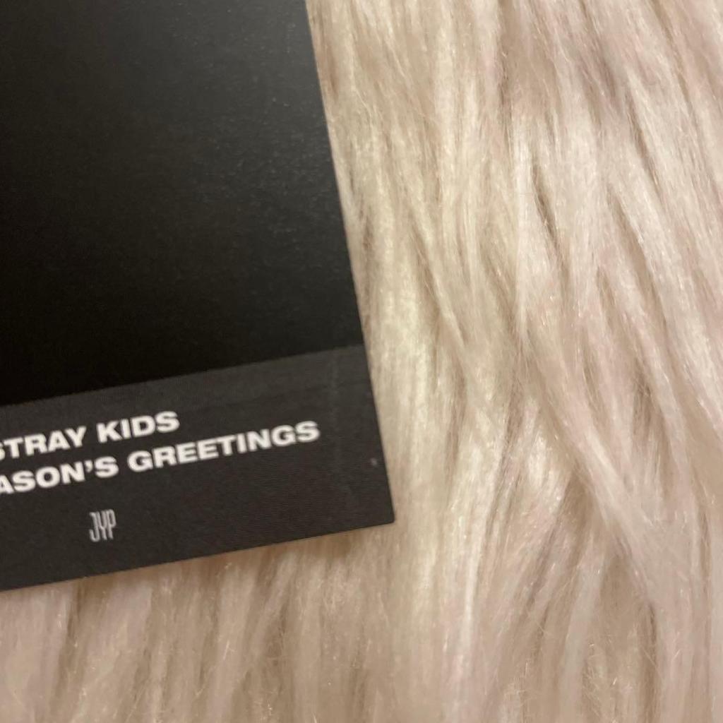 [USED] Stray Kids Felix Seagreen 2021 Stray Kids Piri