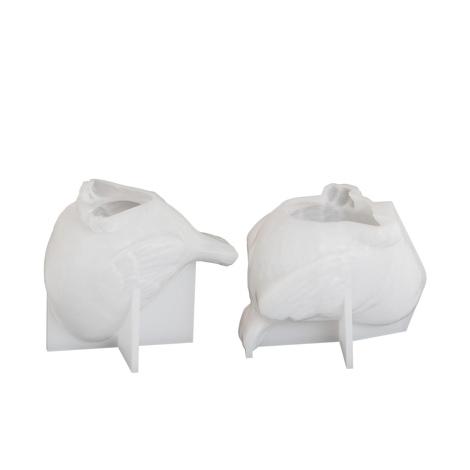 

2 шт. Силиконовые формы для свечей и украшений в виде птиц - Идеально подходят для ароматерапевтических свечей, смол, мыла ручной работы, домашнего декора и поделок 2pcs белый