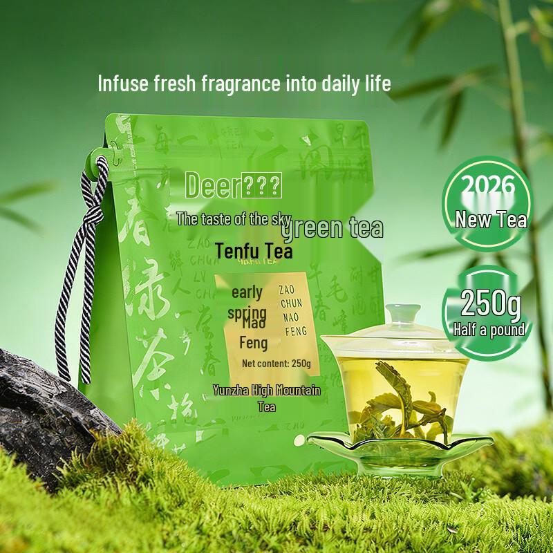 Tianfu Mingcha Early Spring Maofeng Green Tea