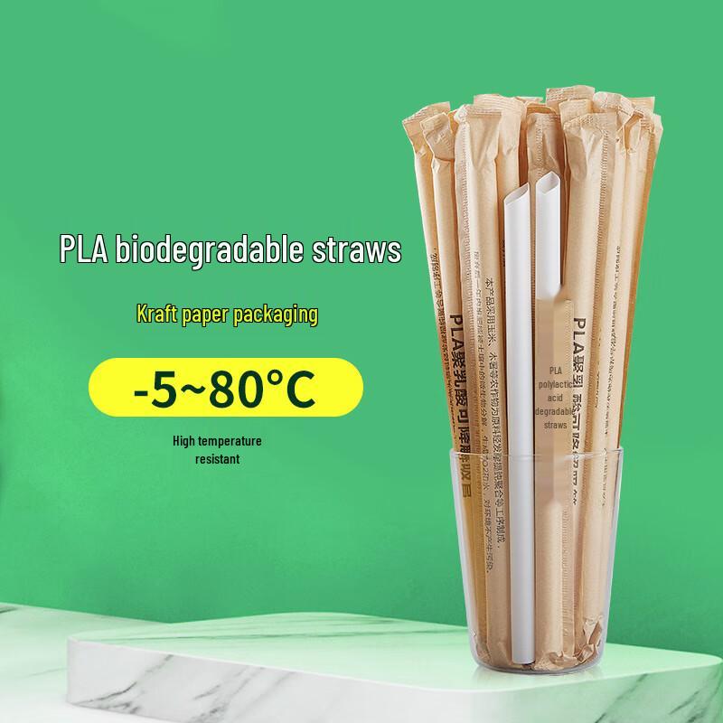 LISM Biodegradable White Drinking Straws