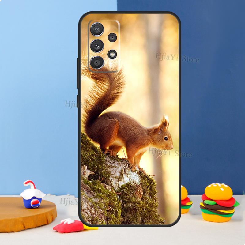 Squirrel Case For Samsung A54 A34 A14 A13 A23 A33 A53 A73 A51 A71 A72 A12 A22 A32 A42 A52 Back Cover