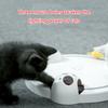 Cats Toy Electric Moving Mouse Teaser Interactive Mouse Toy for
