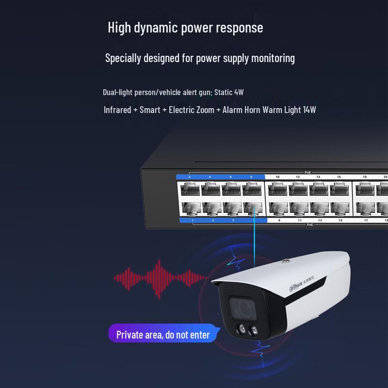 Dahua 16-Port Fast Ethernet PoE-Switch