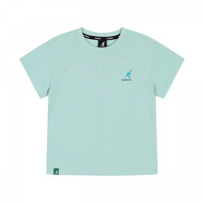 Coolmax Original Symbol T shirT minT Sb 0007