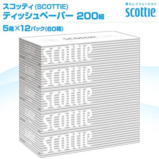 Nippon Paper Crecia Scottie Seidenpapier, 200 Paar, 5 Kartons x 12 Packungen (60 Kartons)