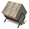 Elegant Album Display Shelf, Clear Metal Storage Stand Home Accessory with Solid Metal Base Desktop Record Organizes