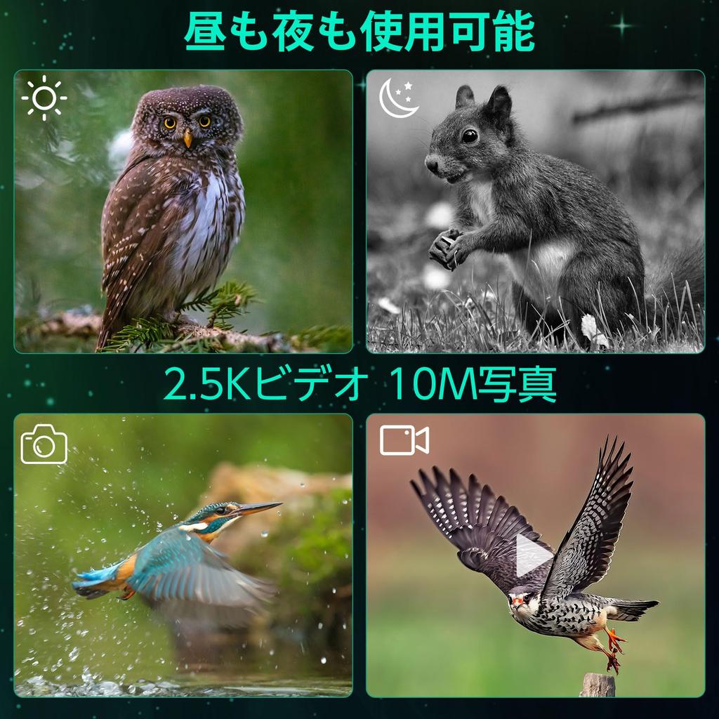 Night Vision Goggles, 1080P Resolution, 2.4" LCD Screen, 10X Digital Zoom, Night Vision Camera, Binoculars, Telescope, Handheld Video Camera, 7-Level