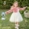 Classic Teddy Girls' Mesh Patchwork Princess Dress