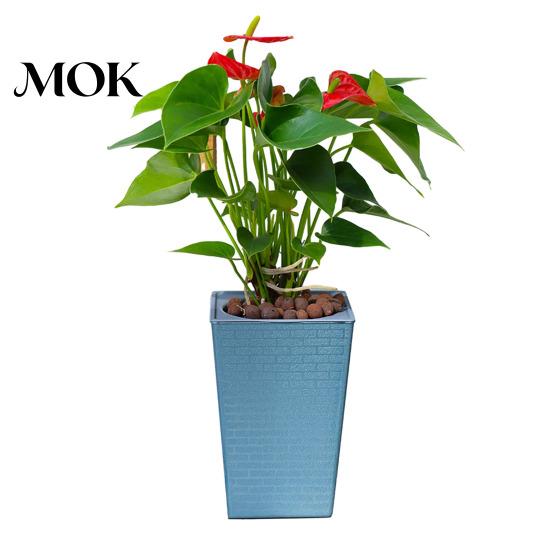 Easy Access Plant Pot Self-Watering with Drainage Holes Automatic Watering Weather-resistant Planter Flowerpot Water Storage for Indoor Outdoor Plants