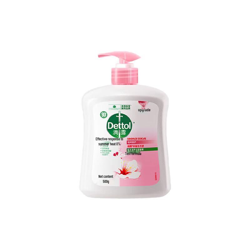 Dettol Moisturizing Hand Wash (2 x 500g)