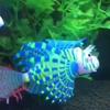 1PC Künstliche Leucht Lionfish Fisch Tank Aquatische Landschaft Silikon Quallen Fisch