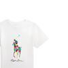 Polo Ralph Lauren Color Block Fitted Crew Neck Short Sleeve T-Shirt Kids Tops White 323934268-001