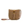 Fashion Straw Woven Small Bag Women's Bag 2025 New Fringed Bucket Bag Simple and Versatile Shoulder Messenger Bag