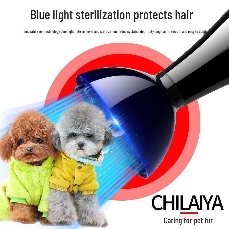 Vysoce výkonný, nízko hlučný fén na srst pro psy a kočky s péčí o negativní ionty