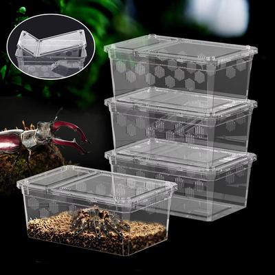 Transparent Reptile Breeding Box  For Lizards Geckos Snakes Spiders Scorpions Beetles Centipedes