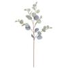Autumn Colors Eucalyptus Dried Flower Ornaments for Living Room or Dining Table