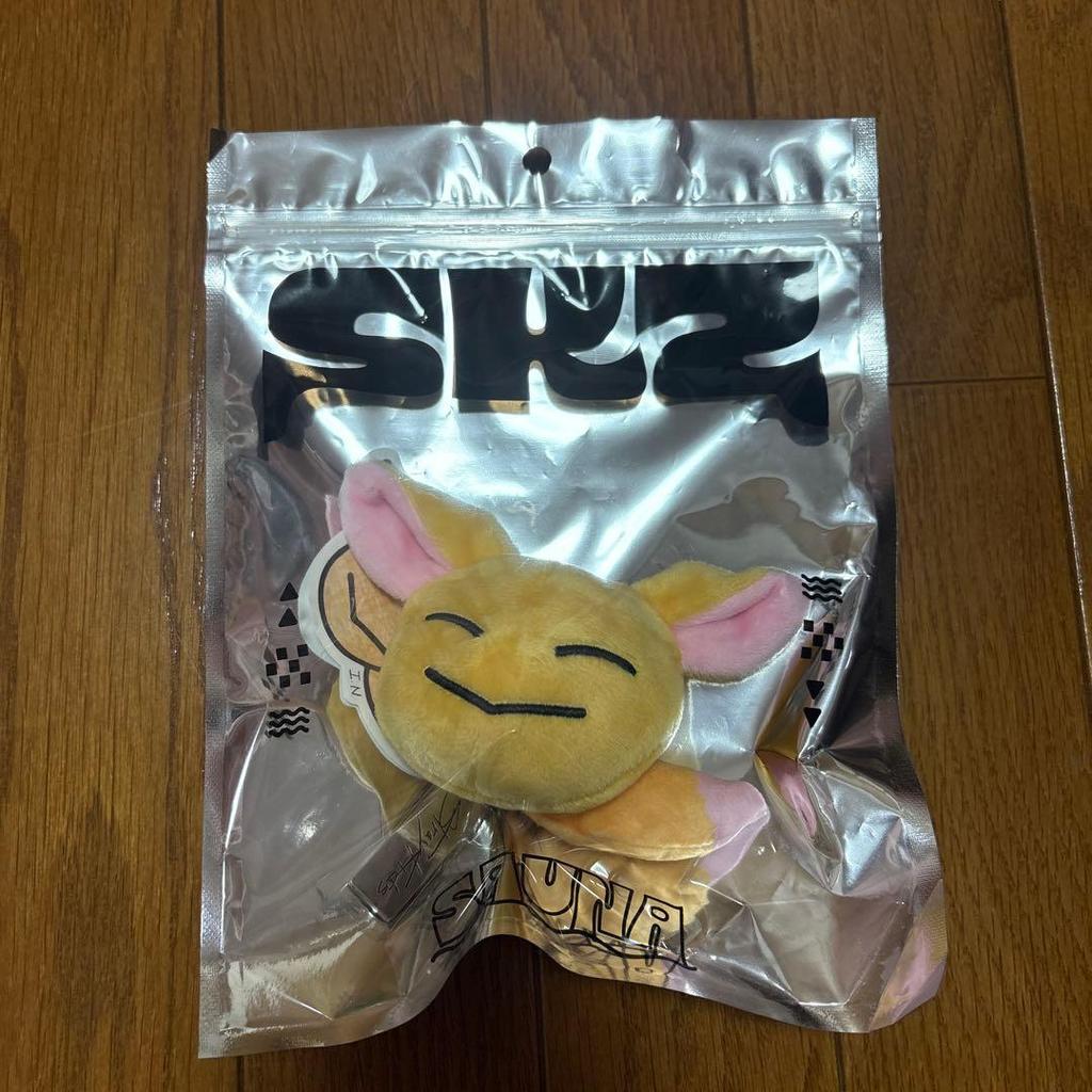 [USED] AIEN MenPro Bag Charm Pop-Up Straykids