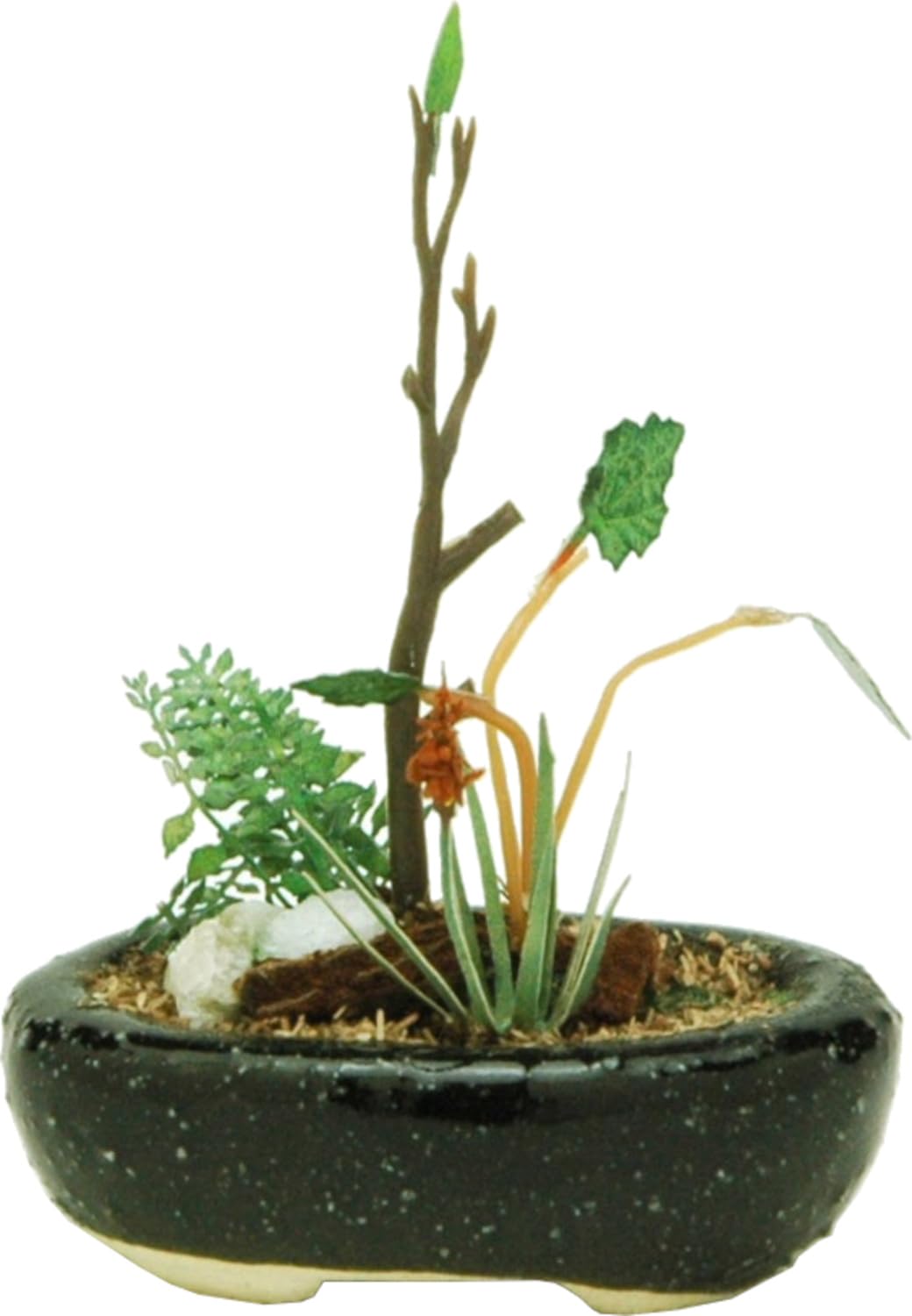 

Platts THE BONSAI Овальное растение в горшке Готовый продукт BONN03 1/12 [Черный]