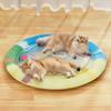 Pet Cooling Water Pad, Waterproof Inflatable Water Mattress, with Heightened Pillow And Large Space Sensory Mat, for Cats And Dogs Summer