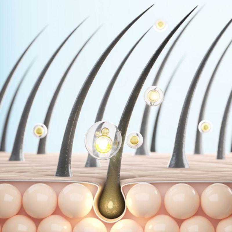 DERMA FACTORY Anti Hair Loss Scalp Tonic 100ml – Scalp Strengthening & Cooling Care