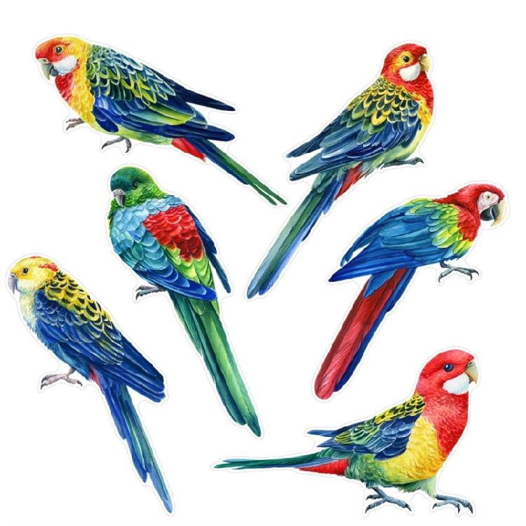 Stylishs Bird Decals for Glass Set of 2 Window Stickers for Safety Decors