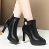 Fashion Autumn Women's Platform Shoes New Plus Velvet Stiletto Heel Heeled Ankle Boots Winter Fashion Pointed Toe Warm Female Short Boot
