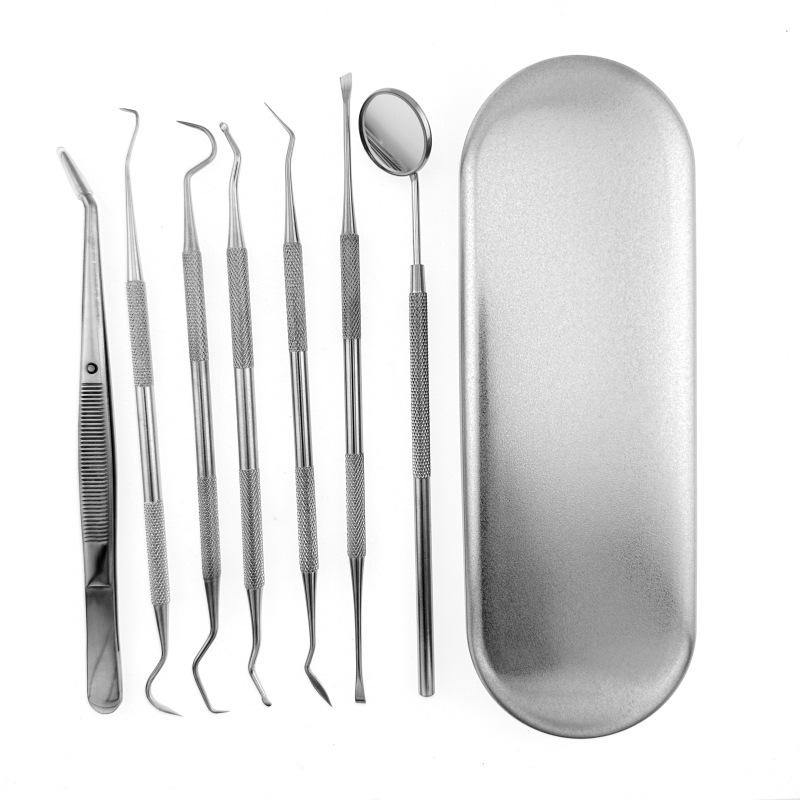 Stainless Steel Dental Tool Set: Endoscope, Toothpick, Calculus & Plaque Remover