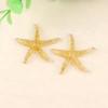 E-Commerce Firm Sale 40mm Flatback Resin Cabochons Large Starfish Design with Artificial Sea Theme for Souvenirs