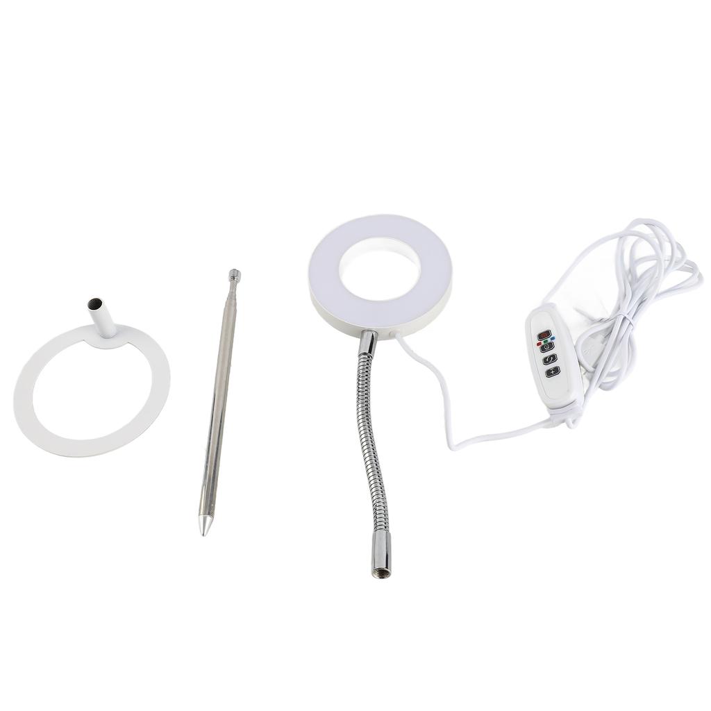 Ground Plugged Plant Light Timable Dimmable Angel Full Spectrum Imitation Sunlight Succulent Pot Grow Light Fill Lights