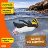Schleich Wildlife Rockhopper Penguin 14932