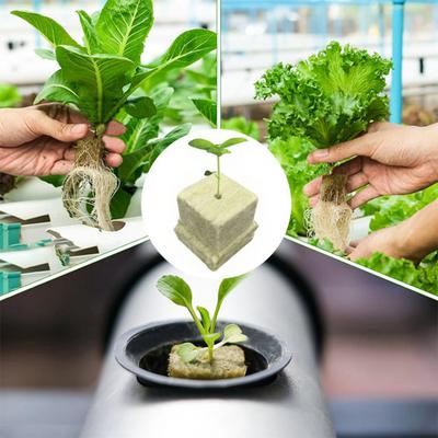 50Pcs Rock Wool Planting Cubes Mineral Fiber Plant Growing Cubes Absorbent Breathable Grow Sponges for Seedlings Hydroponics Soilless Cultivation