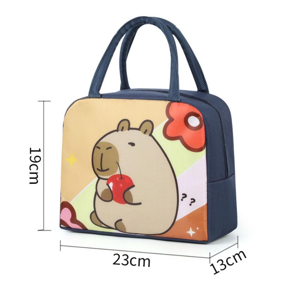 Large Capacity Insulated Lunch Bag Multicolor Waterproof Aluminum Foil Handbag & Cartoon Pattern Insulated Lunch Box Bag