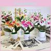 Butterfly Orchid Artificial Plant With 3d Film For Indoor Decor And Photography Props