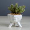 Simple And Creative White Succulent Flower Pot, Home Gardening Plant Ceramic Flower Pot Container