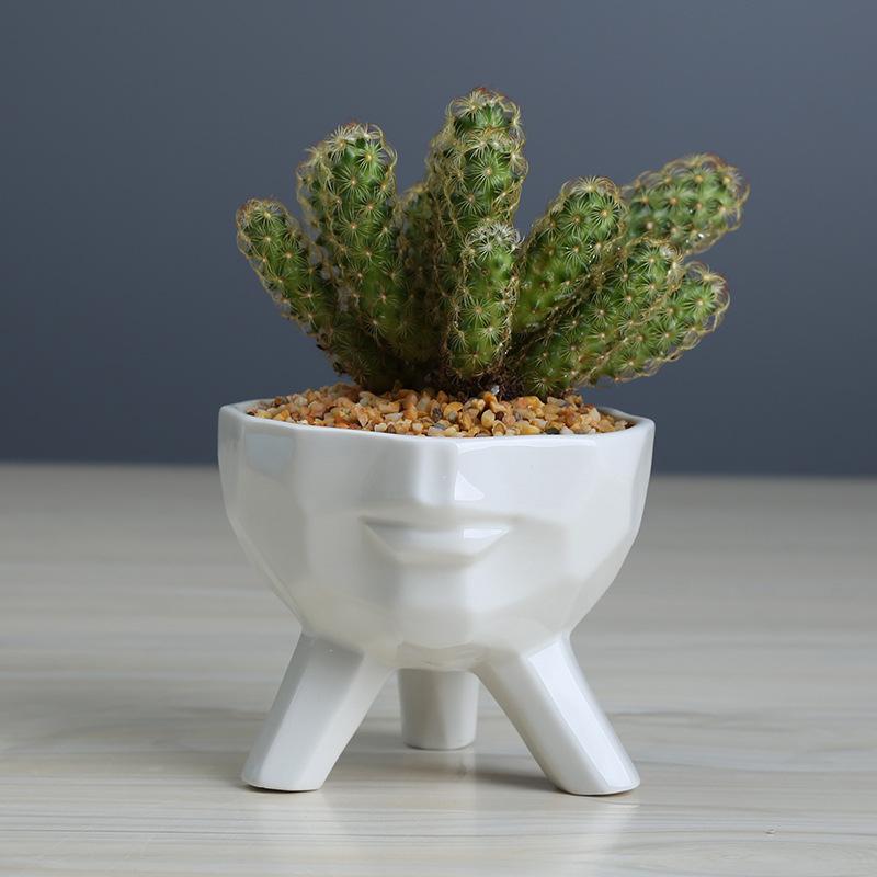 Simple And Creative White Succulent Flower Pot, Home Gardening Plant Ceramic Flower Pot Container