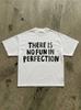 There Is No Fun In Perfection T-Shirt | Typography Tee