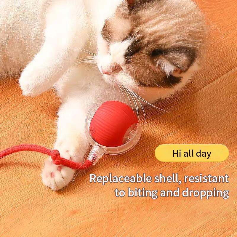 Interactive Cat Toy Ball Super Drive Cat Rolling Balls with Bird Chirping Motion Activated Sensor Pet Kitten Teaser Game Toys