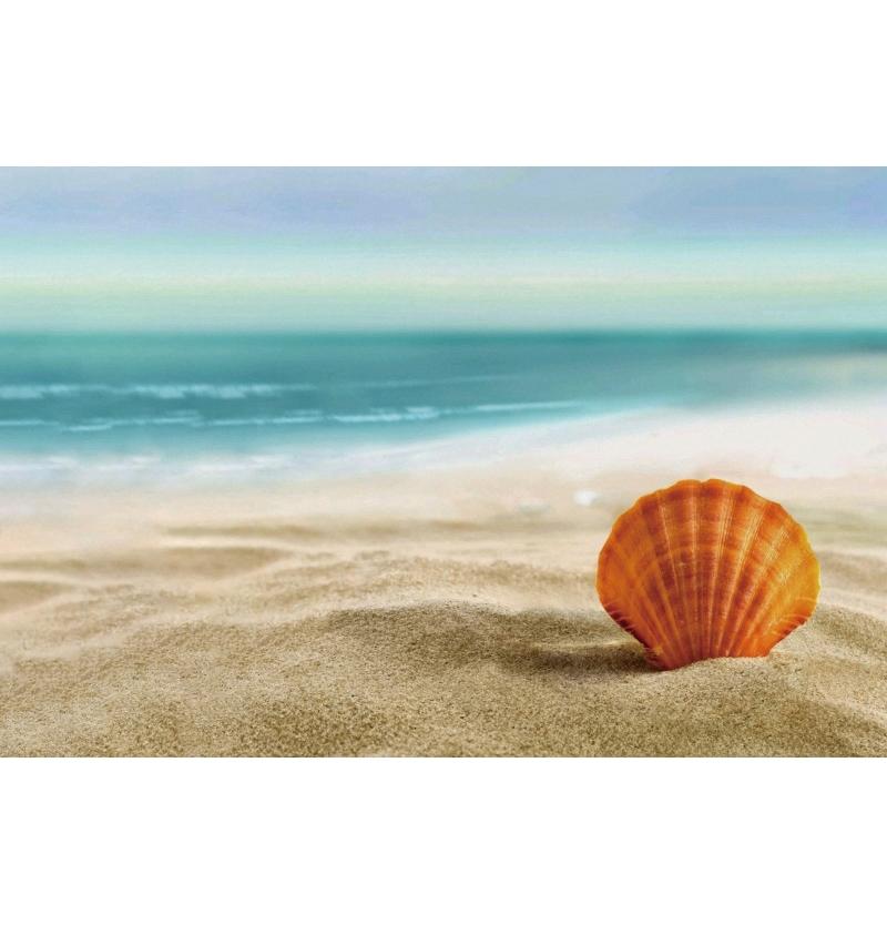 Decorazione Sfondo Spiaggia Tropicale Conchiglia Stella Marina Vacanza Estiva Per Festa in Piscina Sfondi Per Fotografie