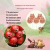 Yida Hawthorn Snacks Collection