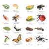 The World of Nature with Interactive STEM Toy Set