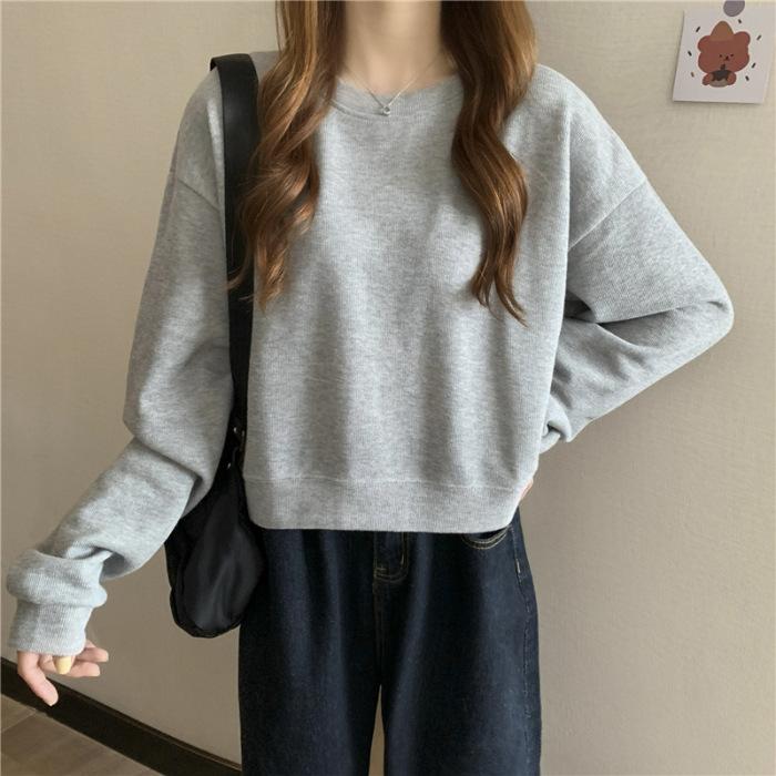 Korean Version of Small Man Long-sleeved Short T-shirt Women's Spring and Autumn New Design Sense Niche Top Versatile Sweater