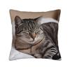 Cat Nap Artistic Design Pillow Case Kawaii Pillow Cover Comfy Pillowcases For Sofa Home Decor