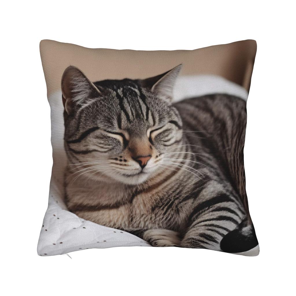 Cat Nap Artistic Design Pillow Case Kawaii Pillow Cover Comfy Pillowcases For Sofa Home Decor