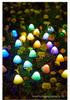 Solar-LED-Pilz-Lichterkette: Wasserdichte Outdoor-Dekorationslichter für Rasen und festliche Atmosphäre