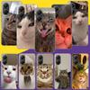 Haustier Katze Lustige Memes Handyhülle Für Xiaomi Poco X7 X6 X5 Pro F7 Ultra Redmi 15C 15 13 13C 12 12C 10 10A 10C 9 9A 9C 9T Hülle Poco