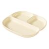 CAIZHI Ceramic Divided Diet Plate