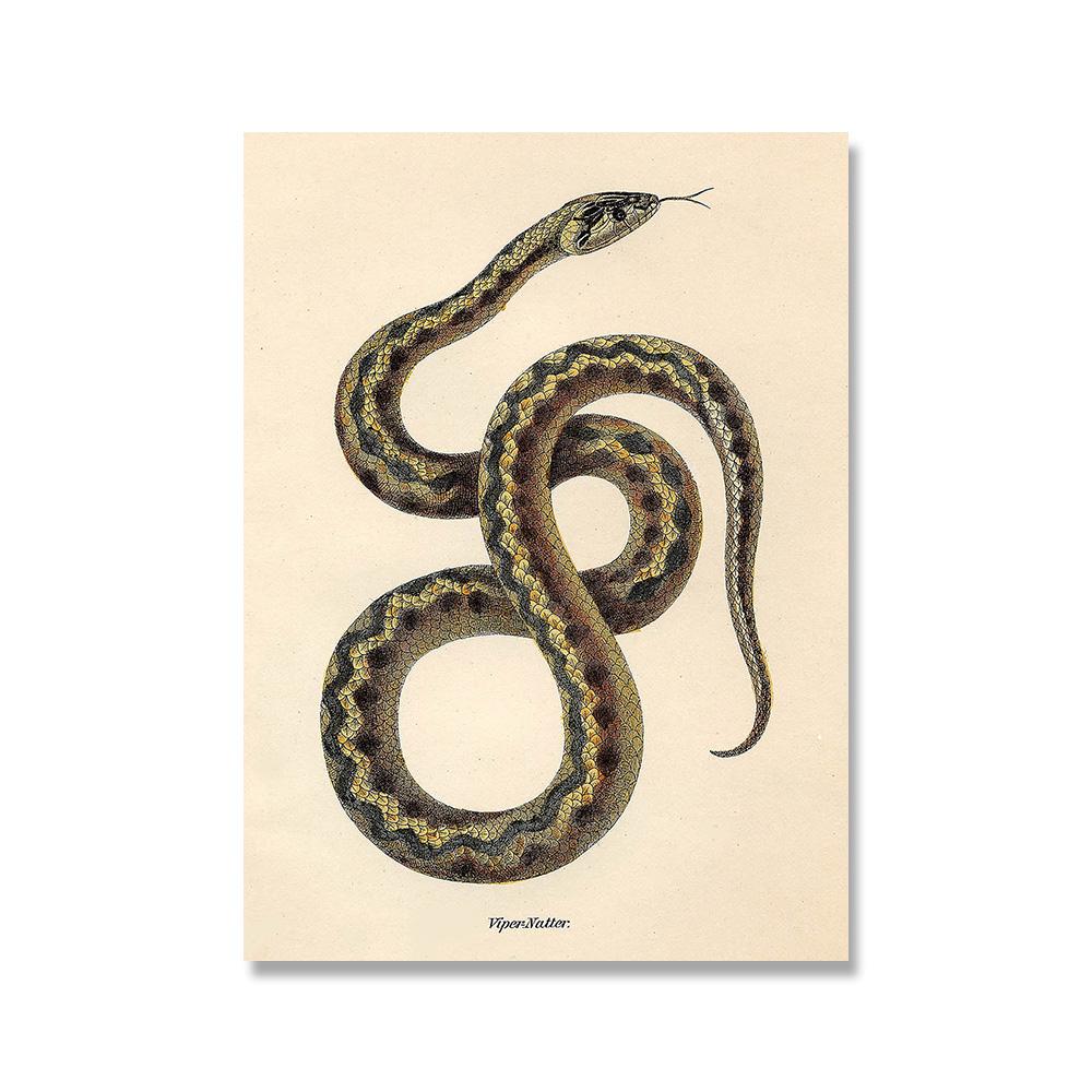 Schlangenmuster Vintage Reptilienkunst Malerei Bild Galerie Wandkunst Druck Modern Abstraktes Poster Heimkunst Wanddekor