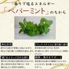 Mint Incense Backflow Interior Decor Cone, Incense, Peppermint, Stylish, Relaxing, Aromatherapy,